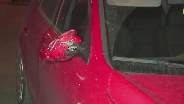 Prapad pe o strada din Targoviste. Un cal a scapat din grija stapanilor si a avariat mai multe masini