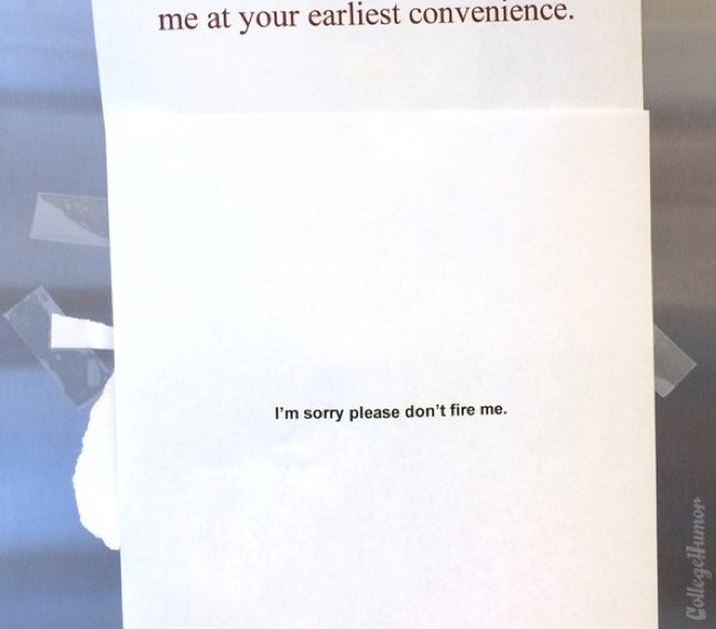 sandvis, curcanul - 7