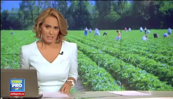 Peste 1,8 miliarde de euro, suma trimisa de romanii din strainatate in tara. Cum ajuta ei economia Romaniei