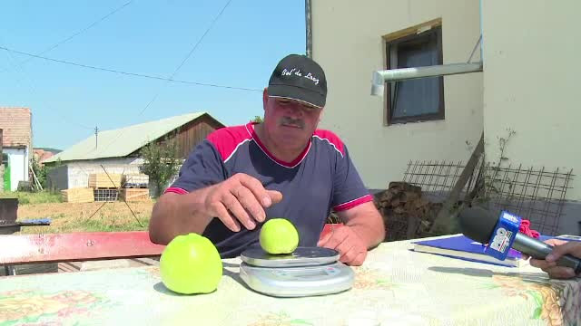 Marul de o jumatate de kilogram, rezultatul ploilor abundente din ultima perioada. In Arges, merii au inflorit a doua oara