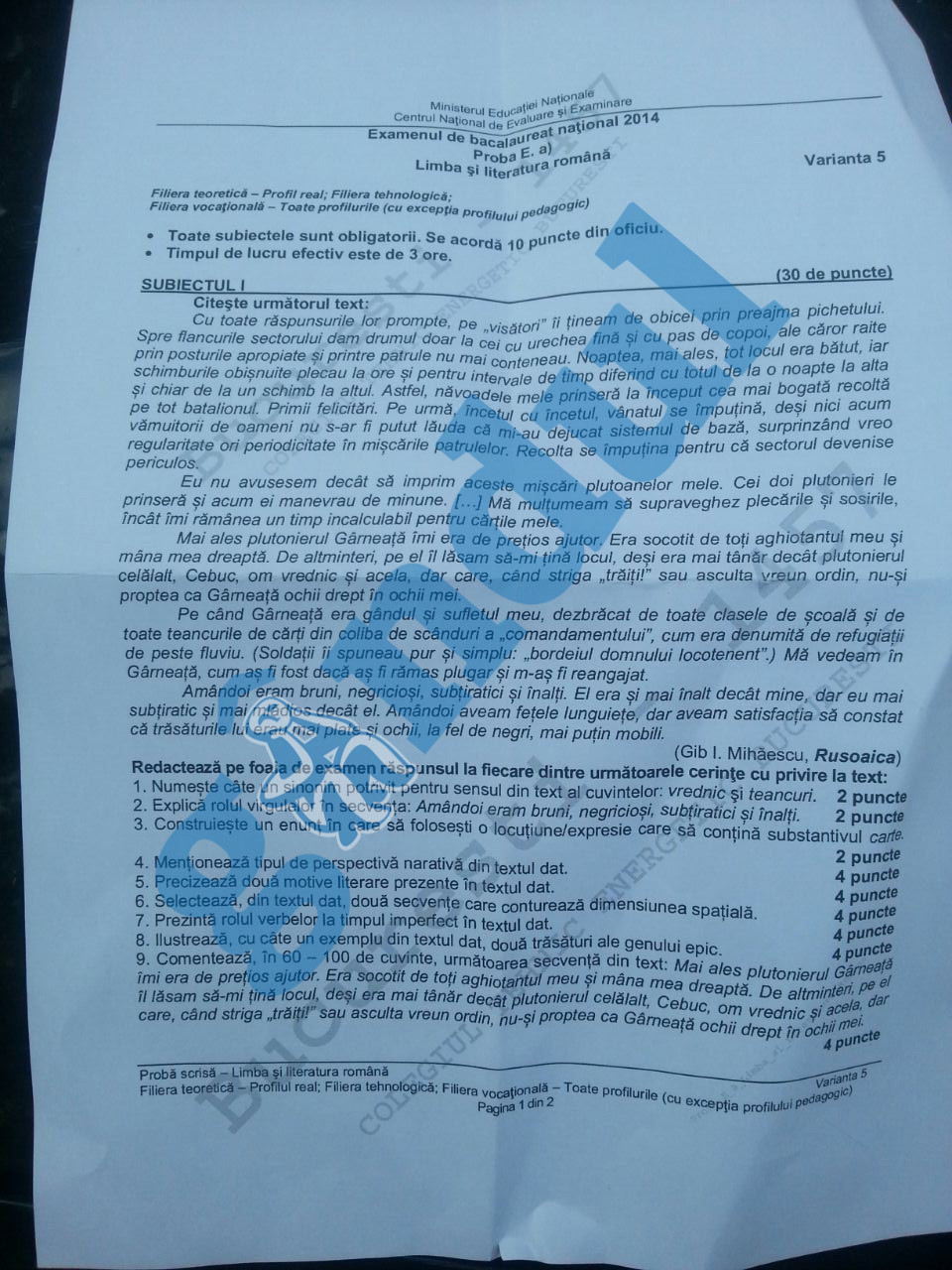 romana, profil real 1