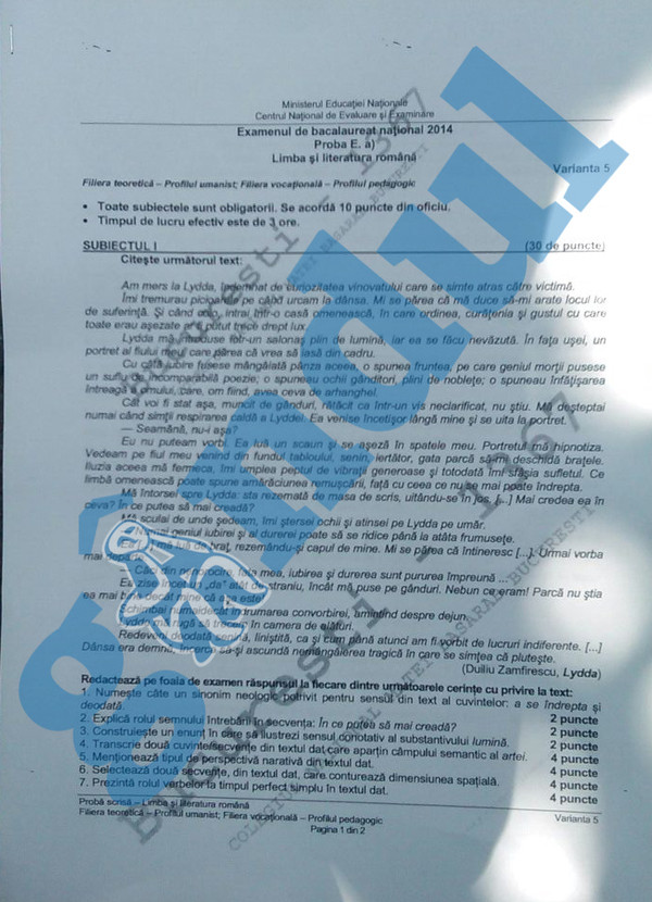 romana, profil uman 1