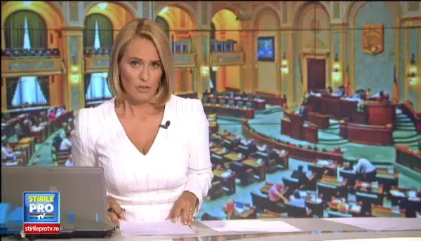 PNL a depus o coroana de flori in Senat pentru a constata decesul economiei. Mesajul adresat Ioanei Petrescu