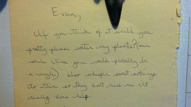 Si-a rugat colegul de apartament sa aiba grija de plante o saptamana. Ce a gasit cand s-a intors era ultimul lucru la care s-ar fi asteptat! FOTO