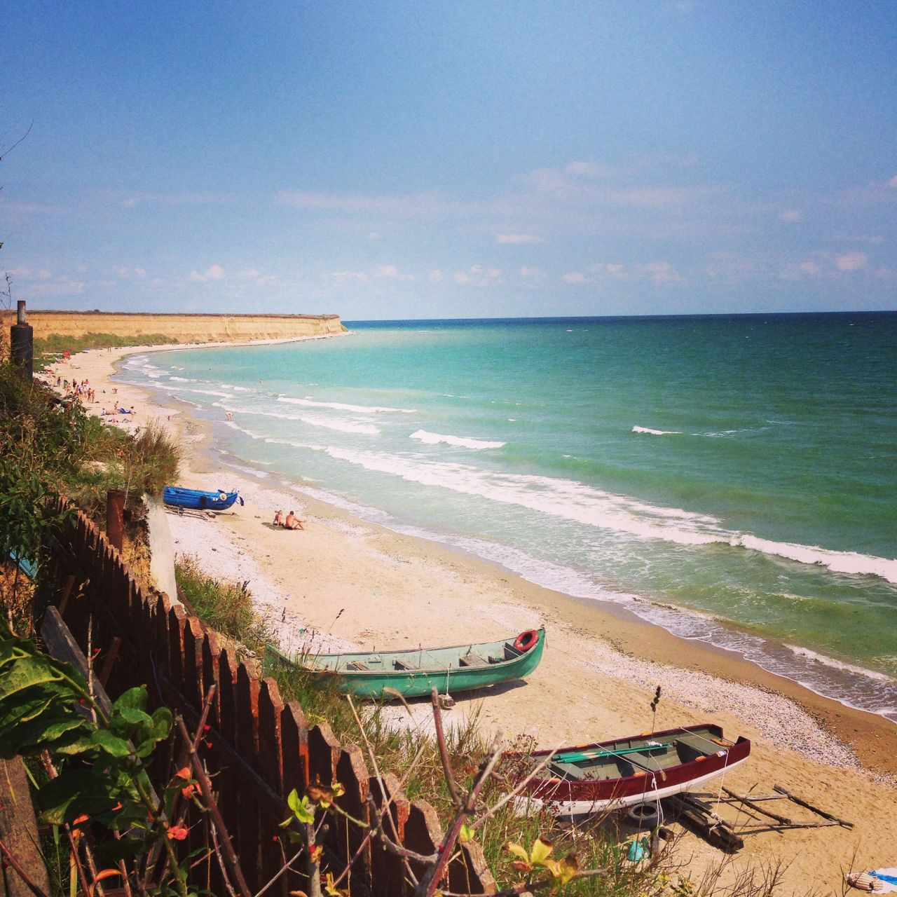 Pericolele la care va expuneti daca alegeti o vacanta in mijlocul naturii. Capusele pot fi usor confundate cu alunitele
