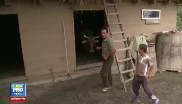 Romania intra in alerta sanitar-veterinara