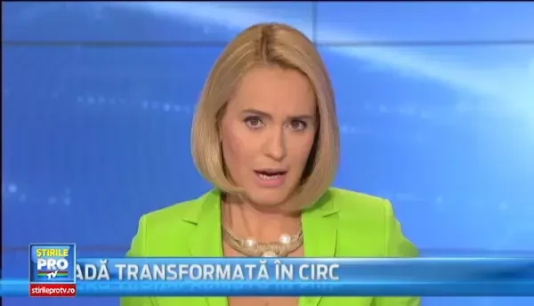 Romania intra in alerta sanitar-veterinara dupa ce boala limbii albastre la bovine a fost confirmata. Reactia ANSVSA