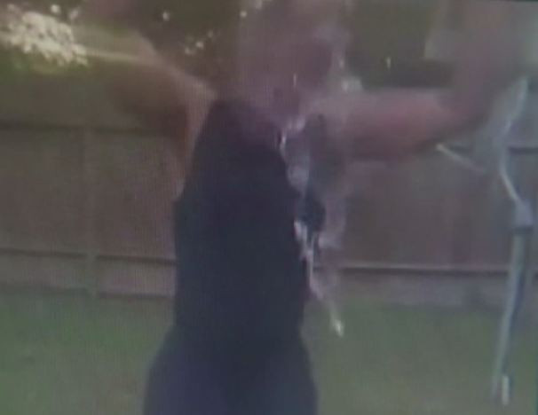 Un barbat care a acceptat provocarea Ice Bucket Challenge a starnit un val de critici pe net. De ce este cercetat de politie