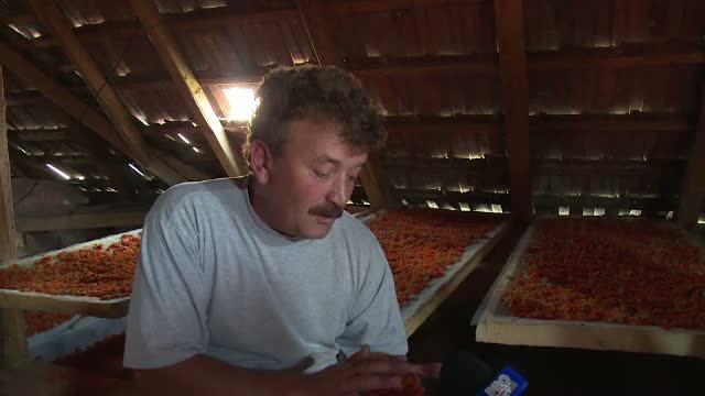 Afacerea cu investitii minime, in care obtii un profit de patru ori mai mare. "Am zis sa incerc si eu, sa vedem ce iese"