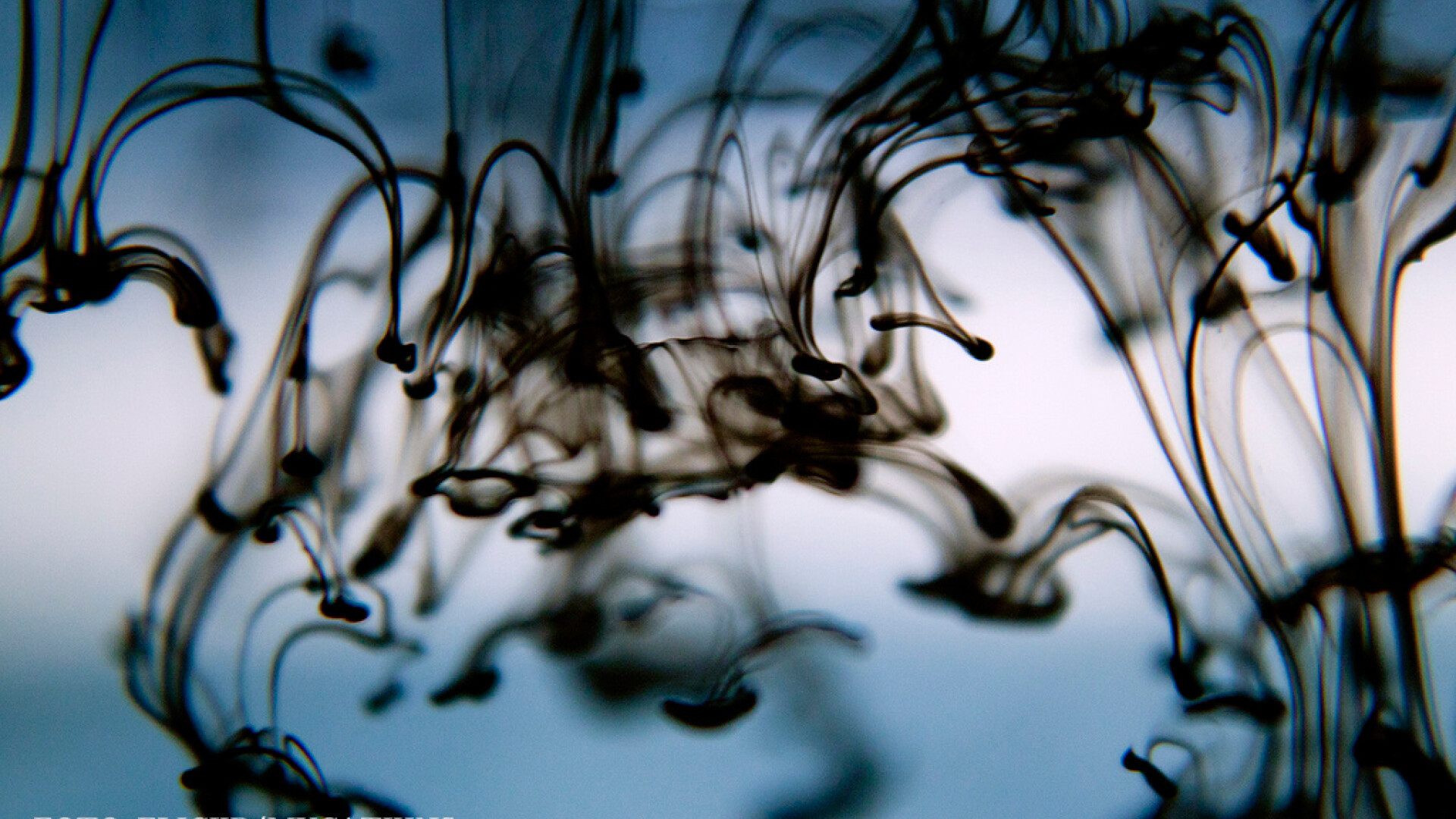 Modul in care cerneala poate deveni cel mai puternic afrodisiac. Ce spune unul dintre cei mai cititi scriitori spanioli