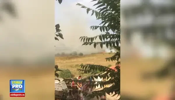 Incendiu in Delta Vacaresti din Capitala. Patru masini de pompieri intervin in zona ce ar putea deveni Parc Natural