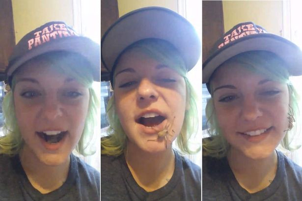 Katrina Dewees-Steele