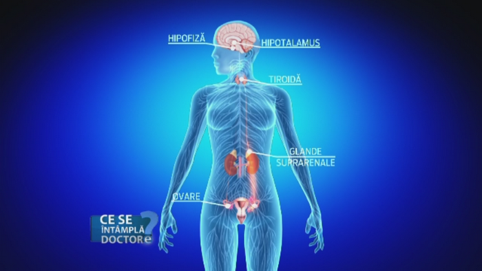 Informatiile pe care femeile trebuie sa le stie despre menstruatie. Cat dureaza si care sunt cauzele durerii