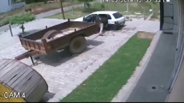 Cum se fura o vaca in Rusia. Doi barbati au inghesuit-o pe bancheta din spate a unei masini