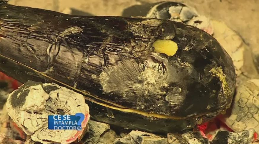 Cum preparam corect vinetele si care este testul ce ne spune daca au fost tratate cu substante de sinteza