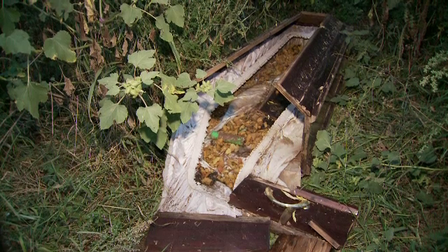 Morminte profanate la Cernica. Un preot din localitate, acuzat ca dezgroapa mortii si ii arunca in spatele cimitirului