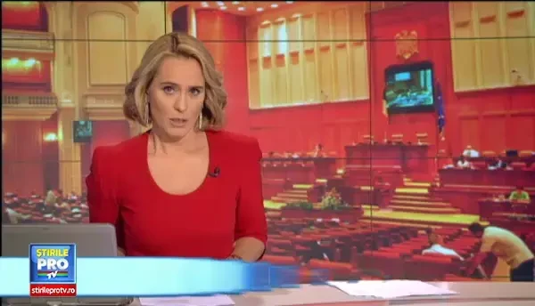 Proiectul ce permite romanilor cu credite in valuta sa le ramburseze la valoarea initiala a cursului de schimb, aviz pozitiv de la Comisia Camerei Deputatilor