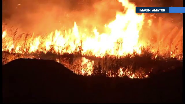Nunta cu peripetii in Galati. Artificiile lansate au provocat un incendiu de vegetatie. Cum s-a sfarsit petrecerea