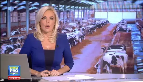 Boala limbii albastre a fost descoperita si in judetul Braila. Industria alimentara este grav afectata