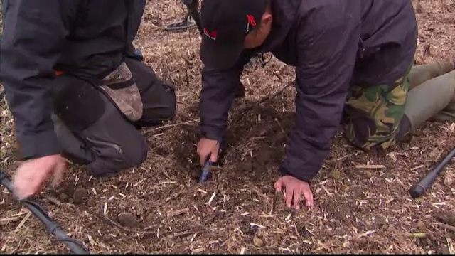 O moneda veche, gasita de un britanic pe un camp arat, a fost evaluata la 1,6 milioane de dolari