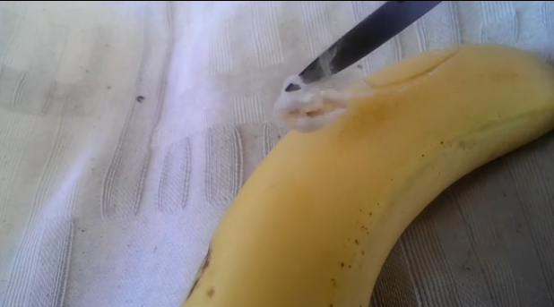 Momente de groaza pentru o femeie din Marea Britanie. Ce a descoperit in bananele cumparate de la supermarket