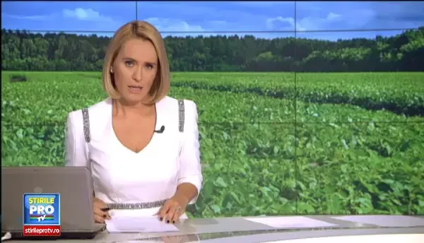 Culturile pe care fermierii din Romania le vand in Coreea de Sud sau Ungaria. Investitia este medie, iar cererea foarte mare