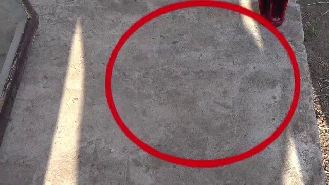 Chipul Maicii Domnului, pe prispa casei. Descoperirea facuta de un barbat din Galati i-a adunat pe toti vecinii in curtea sa