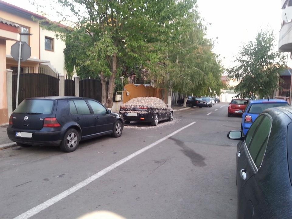 Farsa in Constanta
