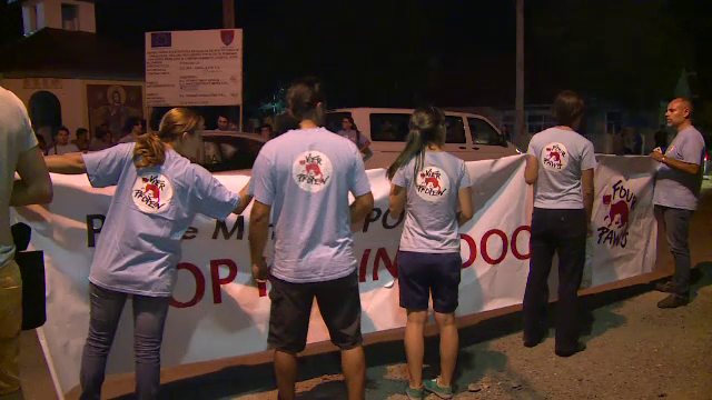 Conflict nou intre iubitorii de animale si ASPA. Un camion cu 100 de maidanezi morti blocat in fata adapostului din Bragadiru