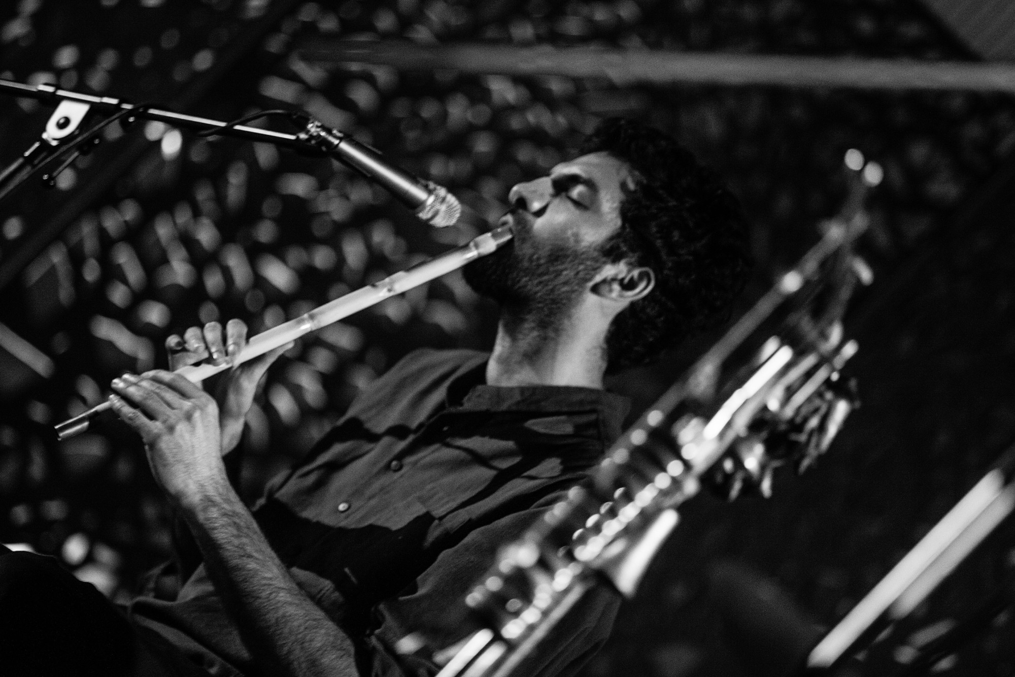 (P) Turneul Roots Revival Romania aproape de debut