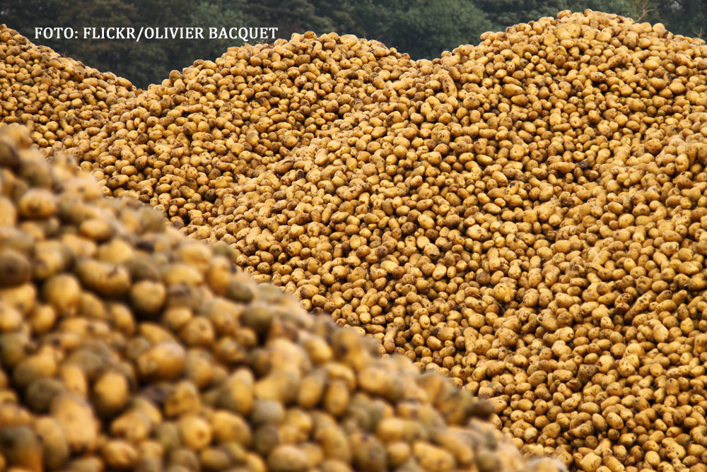 Accident oribil in Rusia: doua tinere au murit ingropate in cartofi. IMAGINILE SOCANTE surprinse de echipajul de descarcerare