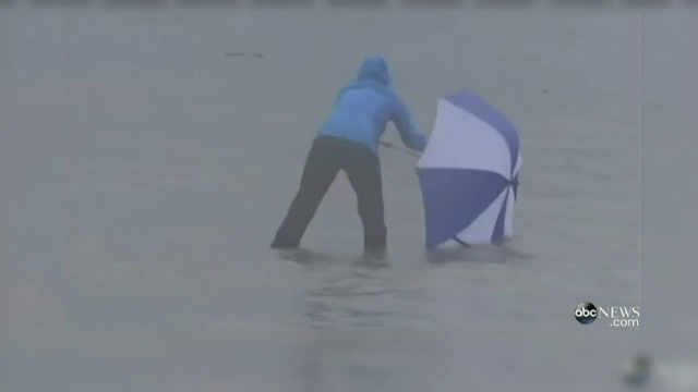 Operatiunea de salvare inedita. O jurnalista i-a venit in ajutor cu o umbrela unui tatu aflat in pericol de inec