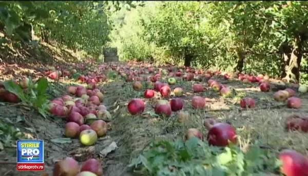 Drumul Comorilor: Transfagarasanul Bucovinei nu are parapeti, e ingust, dar ii fascineaza si pe romani si pe straini. VIDEO