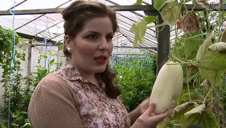 Castravetele alb cu gust de pepene galben. Cum au reusit cercetatorii din Buzau sa dezvolte soiuri noi de legume