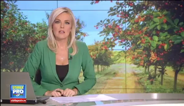 Cat de uriase pot fi incasarile din livezile pitice. Agricultorii au decoperit ca pot face mai multi bani, mult mai repede