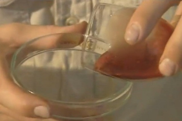 Ce se intampla daca torni o picatura de venin de vipera intr-un pahar de sange. Dureaza 1 secunda. VIDEO