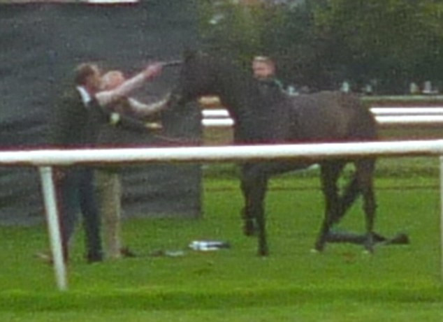 Cruzime sau dovada de umanitate? O fotografie cu un cal ranit intr-o cursa a impartit lumea in 2 tabere