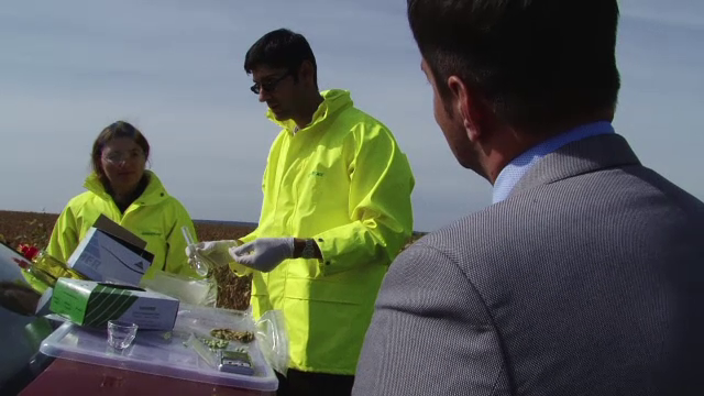 Lanuri cu soia modificata genetic gasite de Greenpeace, in Botosani. O comisie de urgenta a autoritatilor ancheteaza cazul