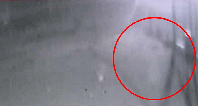 "Stafie" surprinsa de camerele de supraveghere ale politiei din New Mexico. "Avem multe crime nerezolvate in zona"