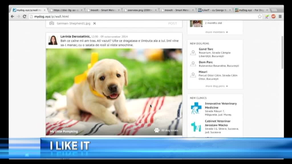 iLikeIT. Trei idei romanesti geniale care au nevoie de finantare