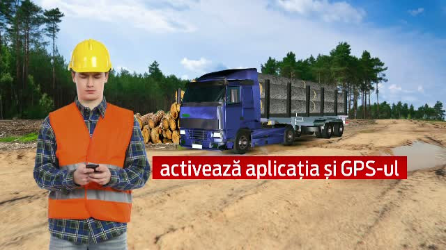 Sistemul "infailibil" care ar putea pune capat defrisarilor masive. Cum functioneaza si cat de eficient e "Radarul Padurii"