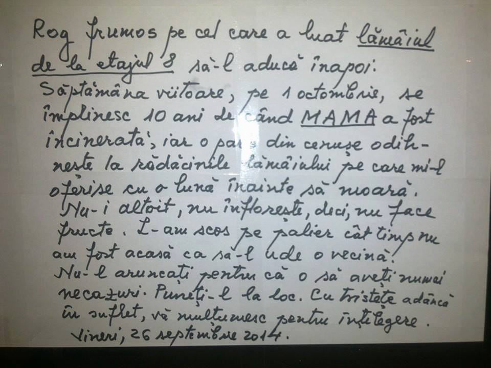“Nu-l aruncati, pentru ca o sa aveti numai necazuri”. Ce se afla intr-un ghiveci, furat din scara unui bloc