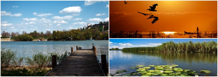 WWF: "Delta Dunarii e vulnerabila in fata schimbarilor climatice". Efectele ar putea fi FOARTE GRAVE, daca nu se iau masuri