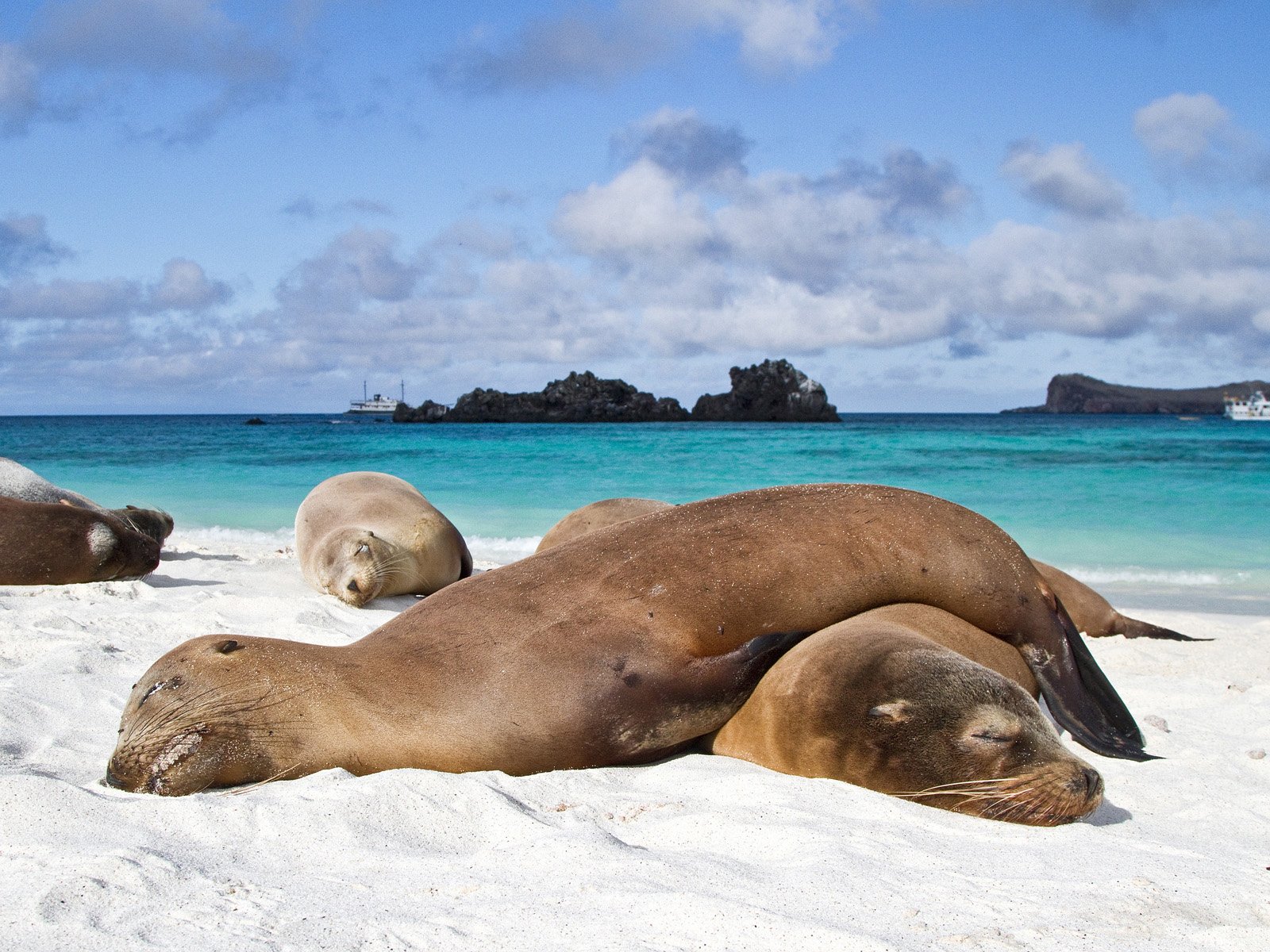 Galapagos