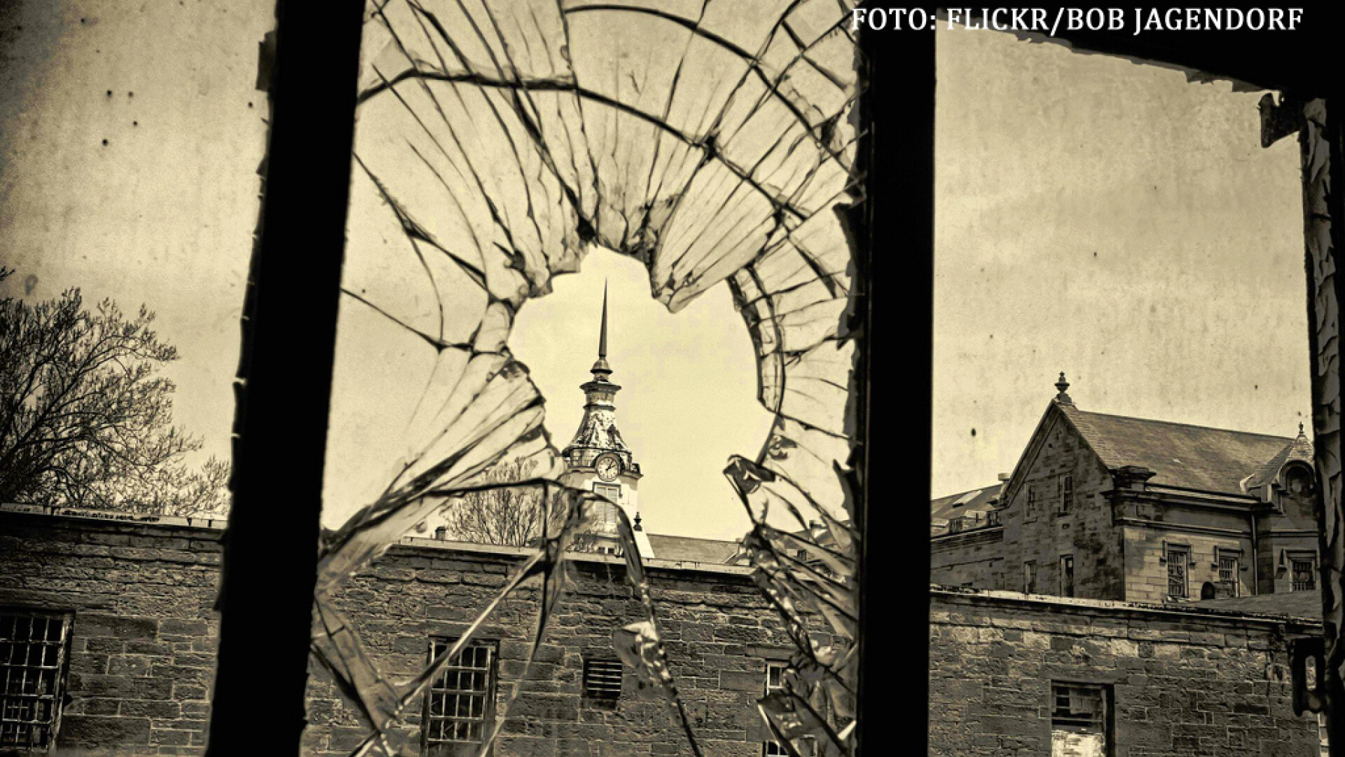 "Romania e un azil de nebuni". Ce spune un scriitor despre tara noastra in ultimii 60 de ani