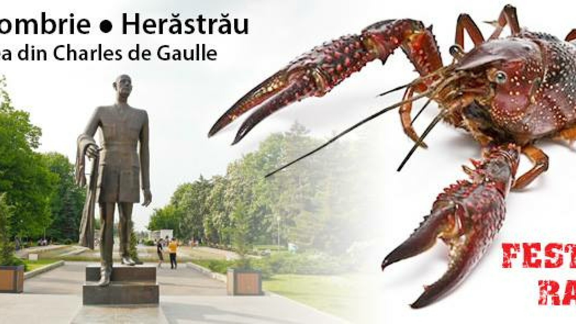 Festivalul Racilor 2014