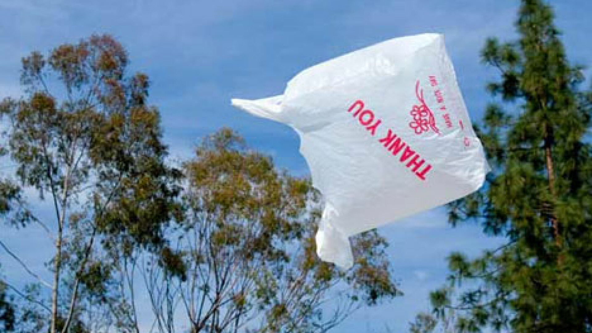 Statul care interzice pungile de plastic. Cand va intra in vigoare decizia