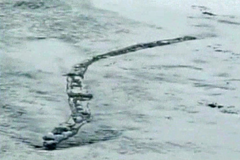 Cum fac islandezii turism in 2014 cu un clip din 2012. O comisie a stabilit ca imaginile cu un "monstru mitic" sunt reale