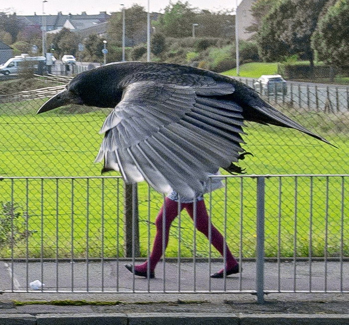 Aparitie ciudata pe o strada din Scotia. Poza in care o femeie incearca sa se dea drept pasare a devenit virala