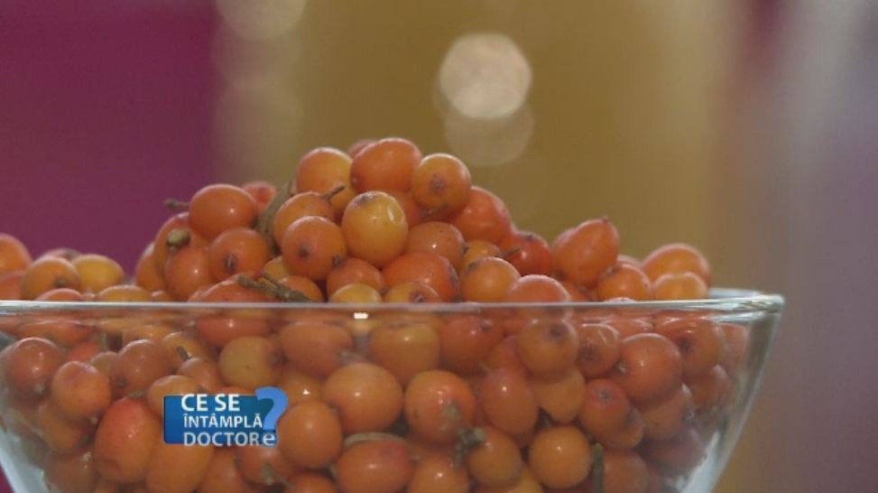 Efectele miraculoase ale catinei asupra organismului. De ce e bine sa le consumam in sezonul rece